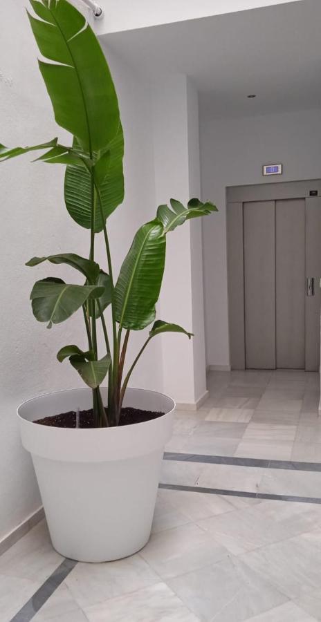 El 2 De Flamenco 2ºb Apartment Cadiz Exterior photo